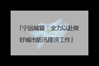 宁远城管：全力以赴做好城市防汛排涝工作