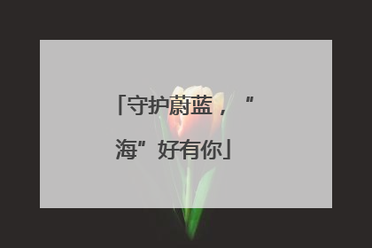 守护蔚蓝，“海”好有你