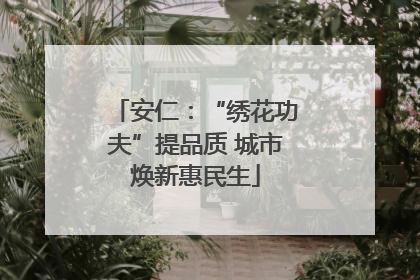 安仁：“绣花功夫”提品质 城市焕新惠民生