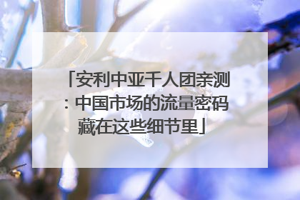 安利中亚千人团亲测：中国市场的流量密码 藏在这些细节里