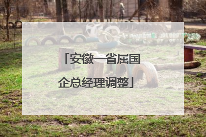 安徽一省属国企总经理调整