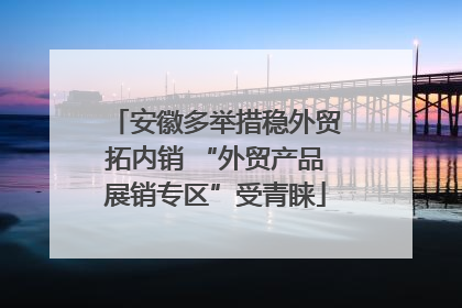 安徽多举措稳外贸拓内销 “外贸产品展销专区”受青睐