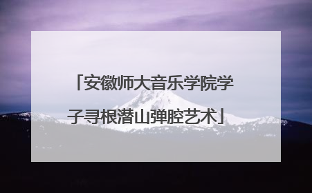 安徽师大音乐学院学子寻根潜山弹腔艺术