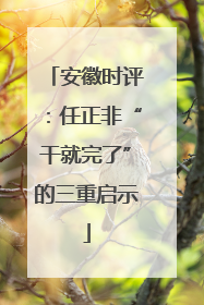 安徽时评：任正非“干就完了”的三重启示