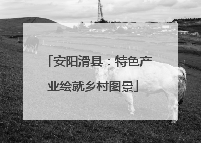 安阳滑县：特色产业绘就乡村图景