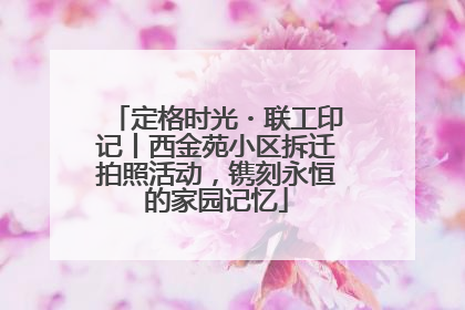 定格时光・联工印记丨西金苑小区拆迁拍照活动，镌刻永恒的家园记忆