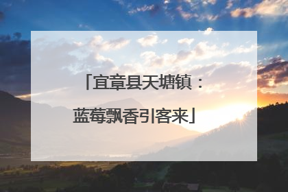 宜章县天塘镇：蓝莓飘香引客来
