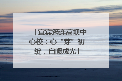 宜宾筠连蒿坝中心校：心“芽”初绽，自暖成光