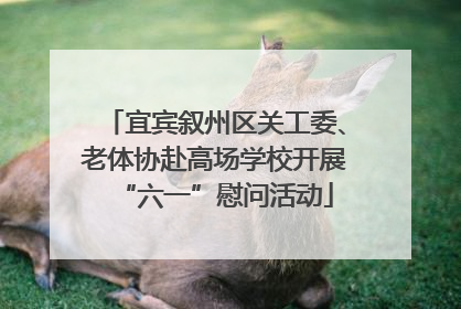 宜宾叙州区关工委、老体协赴高场学校开展“六一”慰问活动