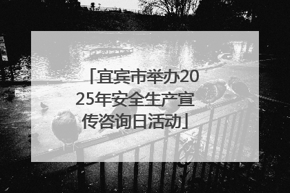 宜宾市举办2025年安全生产宣传咨询日活动