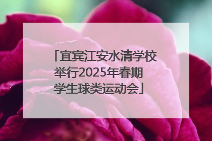 宜宾江安水清学校举行2025年春期学生球类运动会
