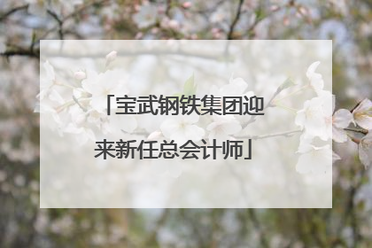 宝武钢铁集团迎来新任总会计师