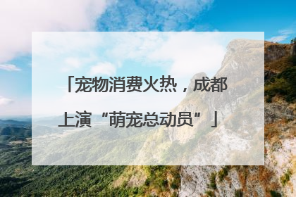 宠物消费火热，成都上演“萌宠总动员”