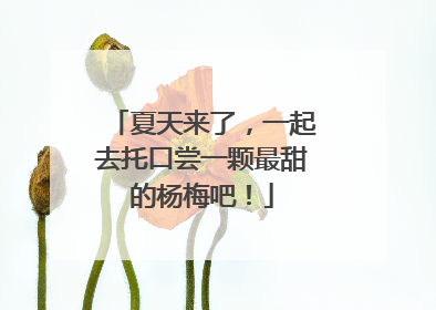 夏天来了，一起去托口尝一颗最甜的杨梅吧！