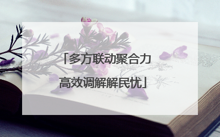 多方联动聚合力 高效调解解民忧