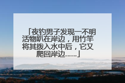 夜钓男子发现一不明活物趴在岸边，用竹竿将其拨入水中后，它又爬回岸边……