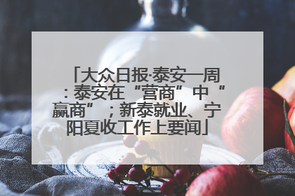 大众日报·泰安一周：泰安在“营商”中“赢商”；新泰就业、宁阳夏收工作上要闻