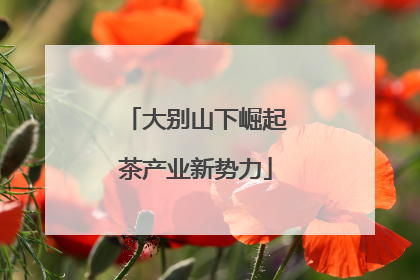 大别山下崛起茶产业新势力