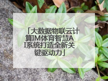 大数据物联云计算IM体育智慧AI系统打造全新关键驱动力