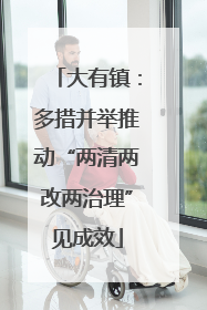 大有镇：多措并举推动“两清两改两治理”见成效