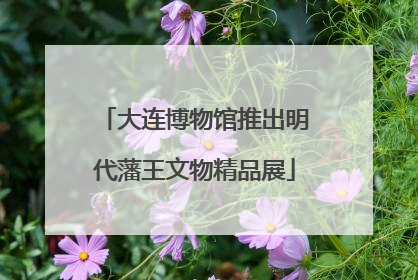 大连博物馆推出明代藩王文物精品展