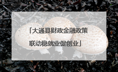 大通县财政金融政策联动稳就业促创业
