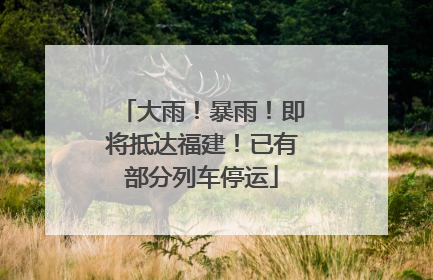 大雨！暴雨！即将抵达福建！已有部分列车停运