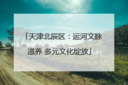 天津北辰区：运河文脉滋养 多元文化绽放