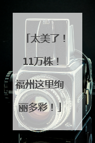 太美了！11万株！福州这里绚丽多彩！