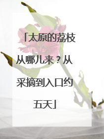 太原的荔枝从哪儿来？从采摘到入口约五天