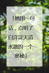 她用一句话，点明了白洋淀天清水澈的一个奥秘