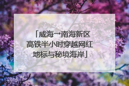 威海→南海新区 高铁半小时穿越网红地标与秘境海岸