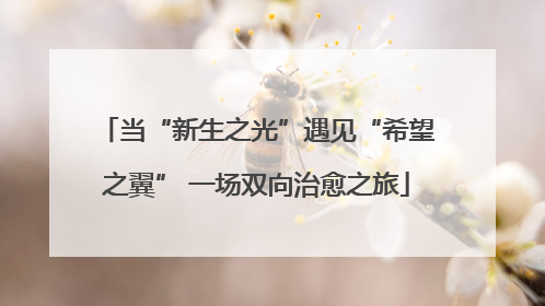 当“新生之光”遇见“希望之翼” 一场双向治愈之旅