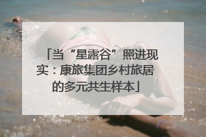 当“星露谷”照进现实：康旅集团乡村旅居的多元共生样本
