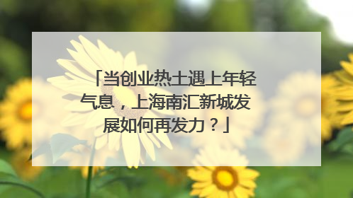 当创业热土遇上年轻气息，上海南汇新城发展如何再发力？