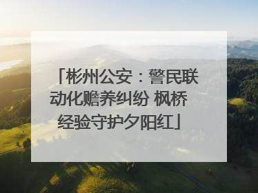 彬州公安：警民联动化赡养纠纷 枫桥经验守护夕阳红