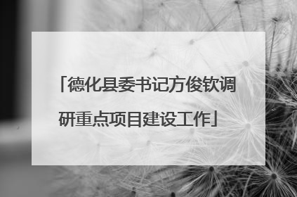 德化县委书记方俊钦调研重点项目建设工作