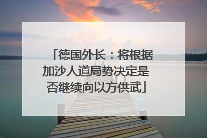德国外长：将根据加沙人道局势决定是否继续向以方供武