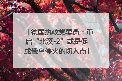 德国执政党要员：重启“北溪-2”或是促成俄乌停火的切入点