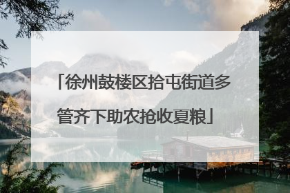徐州鼓楼区拾屯街道多管齐下助农抢收夏粮