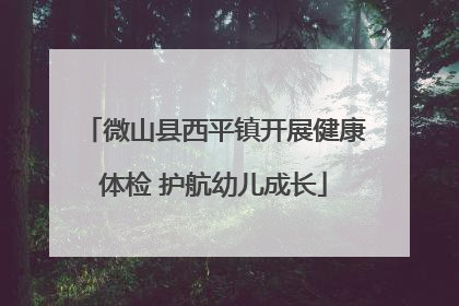 微山县西平镇开展健康体检 护航幼儿成长