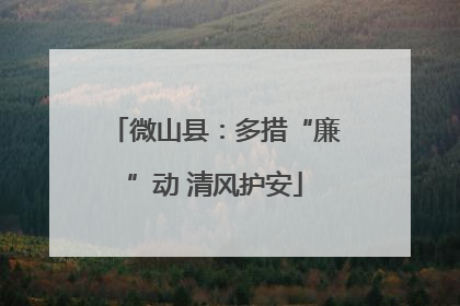 微山县：多措“廉”动 清风护安