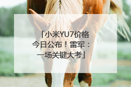 小米YU7价格今日公布！雷军：一场关键大考