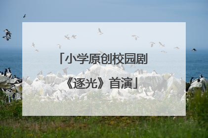 小学原创校园剧《逐光》首演