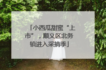 小西瓜甜蜜“上市”，顺义区北务镇进入采摘季