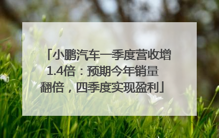 小鹏汽车一季度营收增1.4倍：预期今年销量翻倍，四季度实现盈利