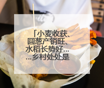 小麦收获、圆葱产销旺、水稻长势好……乡村处处是“丰”景