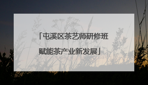 屯溪区茶艺师研修班赋能茶产业新发展