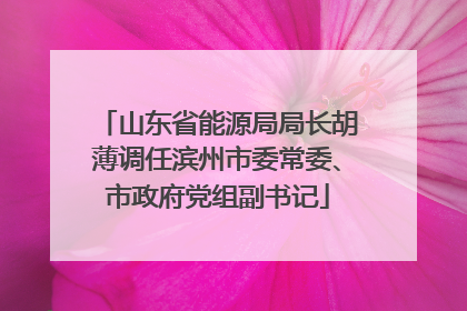 山东省能源局局长胡薄调任滨州市委常委、市政府党组副书记