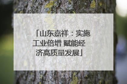 山东嘉祥：实施工业倍增 赋能经济高质量发展